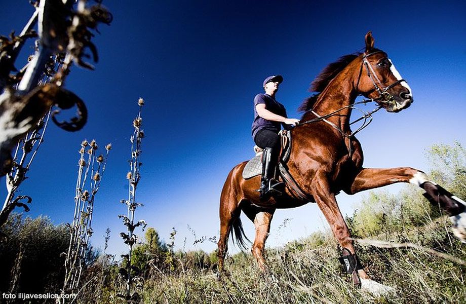 Horseback riding in Cetina Region with Maestral Travel Agency