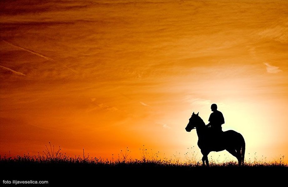Horseback 8 days Horseback Tour in Cetina Region with Maestral Travel Agency