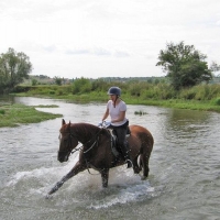 Horseback 8 days Horseback Tour in Cetina Region with Maestral Travel Agency
