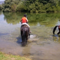 Horseback 8 days Horseback Tour in Cetina Region with Maestral Travel Agency