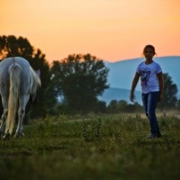 Riding school in Cetina Region with Maestral Travel Agency