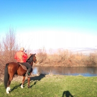 Horseback riding in Cetina Region with Maestral Travel Agency