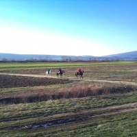 Horseback 8 days Horseback Tour in Cetina Region with Maestral Travel Agency