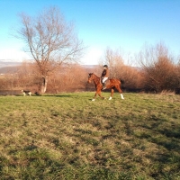 Horseback riding in Cetina Region with Maestral Travel Agency