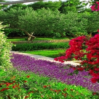 Velaris garden with Maestral Travel Agency